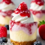 Gnome Cheesecake Fluff Cups First Image